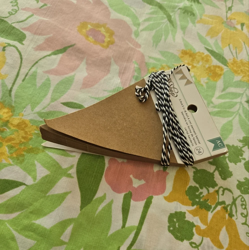 Paper Pennant Flags Lot Of 3